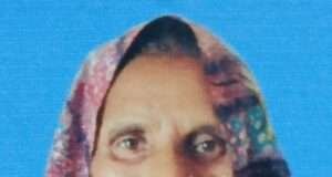 मिठाई निकालते समय काले सर्प ने महिला को दो बार डंसा, झाड़फूंक के बाद अस्पताल में मौत