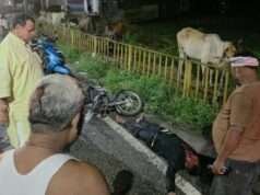 पं० रत्नाकर मिश्र ने पेश की मानवता की मिसाल