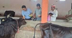 एसडीएम ने कान्हा गौशाला का किया निरीक्षण, दिए सख्त निर्देश